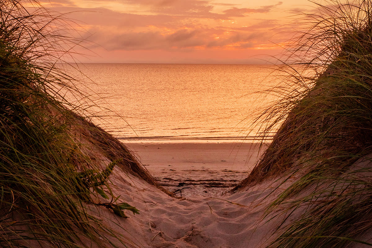 Cape Cod: Where Timeless Beauty Meets Unforgettable Experiences