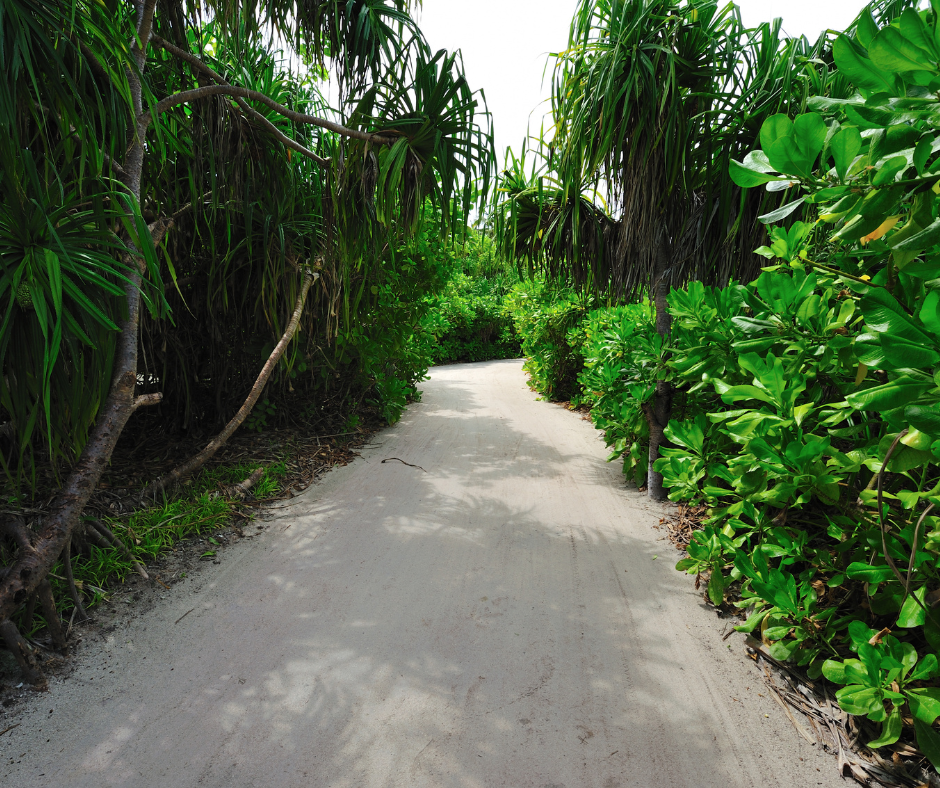 Top Nature Attractions in Orlando, FL: Explore the Beauty of Nature