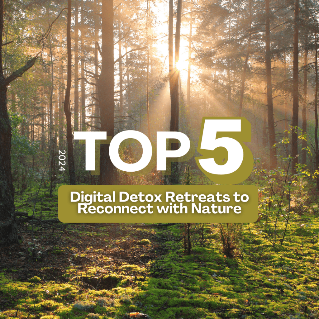 Eco-Friendly Corporate Retreats: What You Need to Know